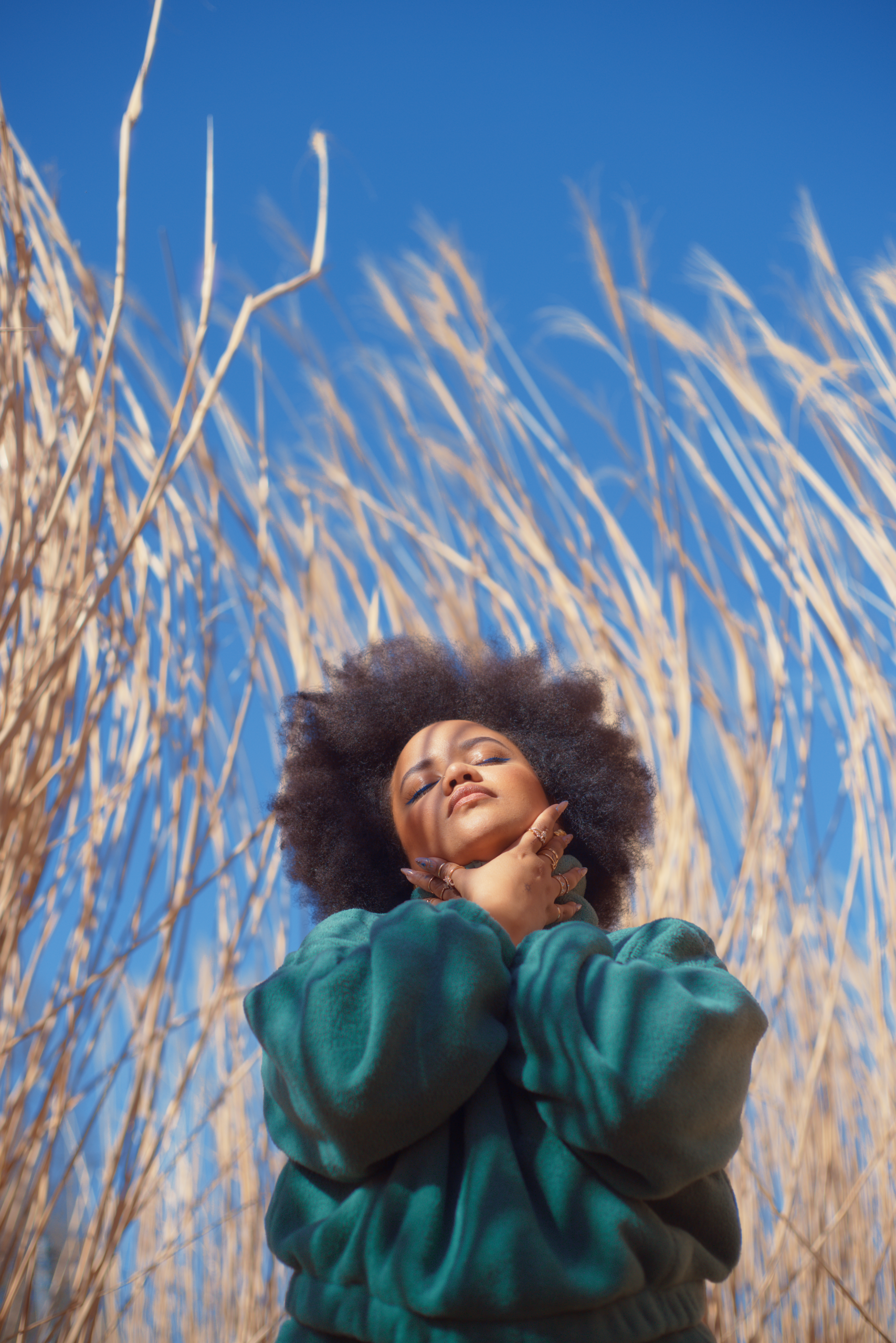 La Télé au Placard – Émission du vendredi 20 mars 2026 – Kolinga – Les Ateliers de l’Espoir – Festival des Clefs de l’Aventure